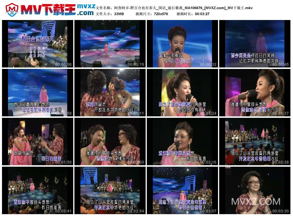 阿鲁阿卓-野百合也有春天_国语_流行歌曲_MA106676